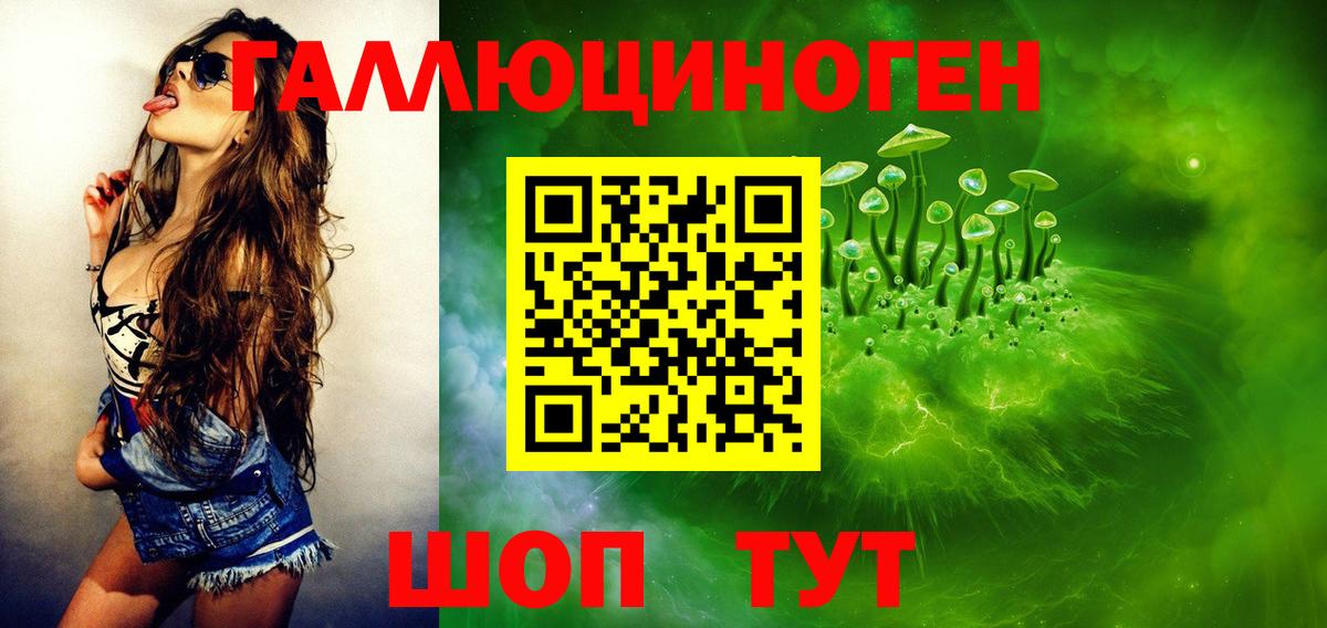 Галлюциногенные грибы Psilocybe Курган