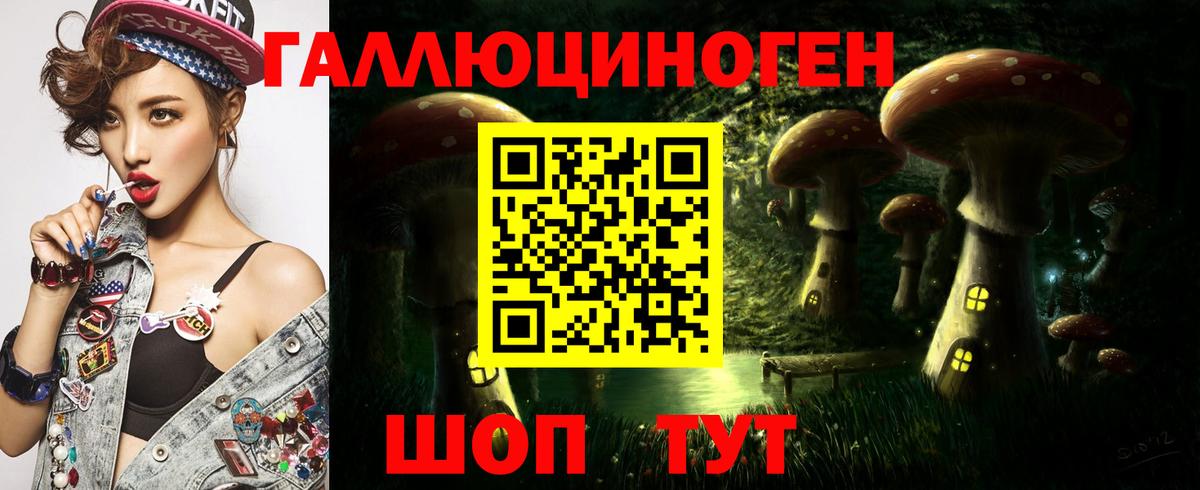 Курган  Галлюциногенные грибы Psilocybe  Галлюциногенные грибы Psilocybe  Вход с VPN 